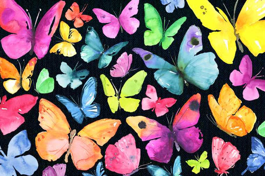 Butterflies - | Fairplay Puzzles